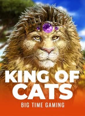 King of Cats