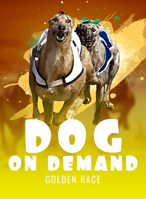 Dog - On Demand