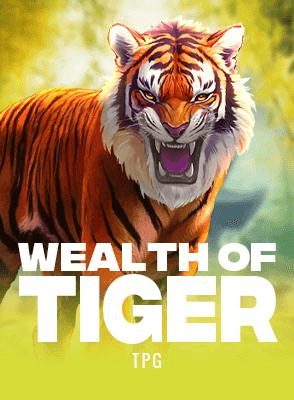 Wealth of Tiger