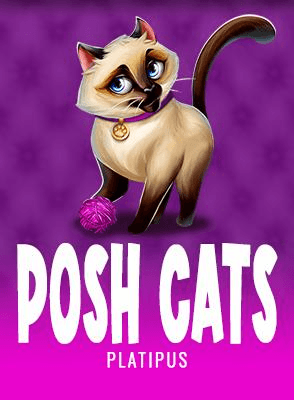 Posh Cats