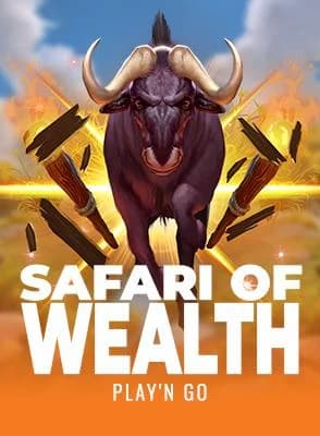 Safari of Wealth