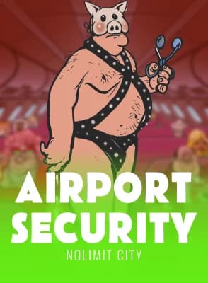 Airport Security