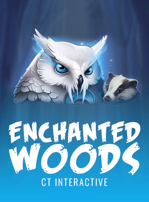 Enchanted Woods