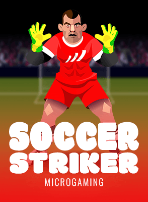 Soccer Striker