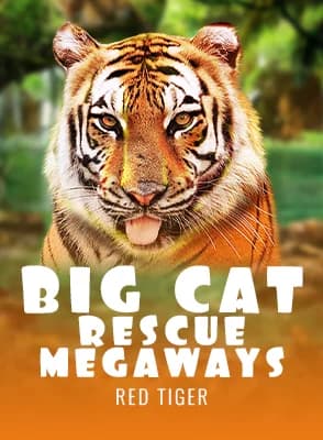 Big Cat Rescue Megaways