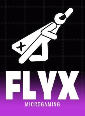 FlyX