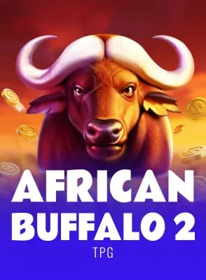 African Buffalo 2
